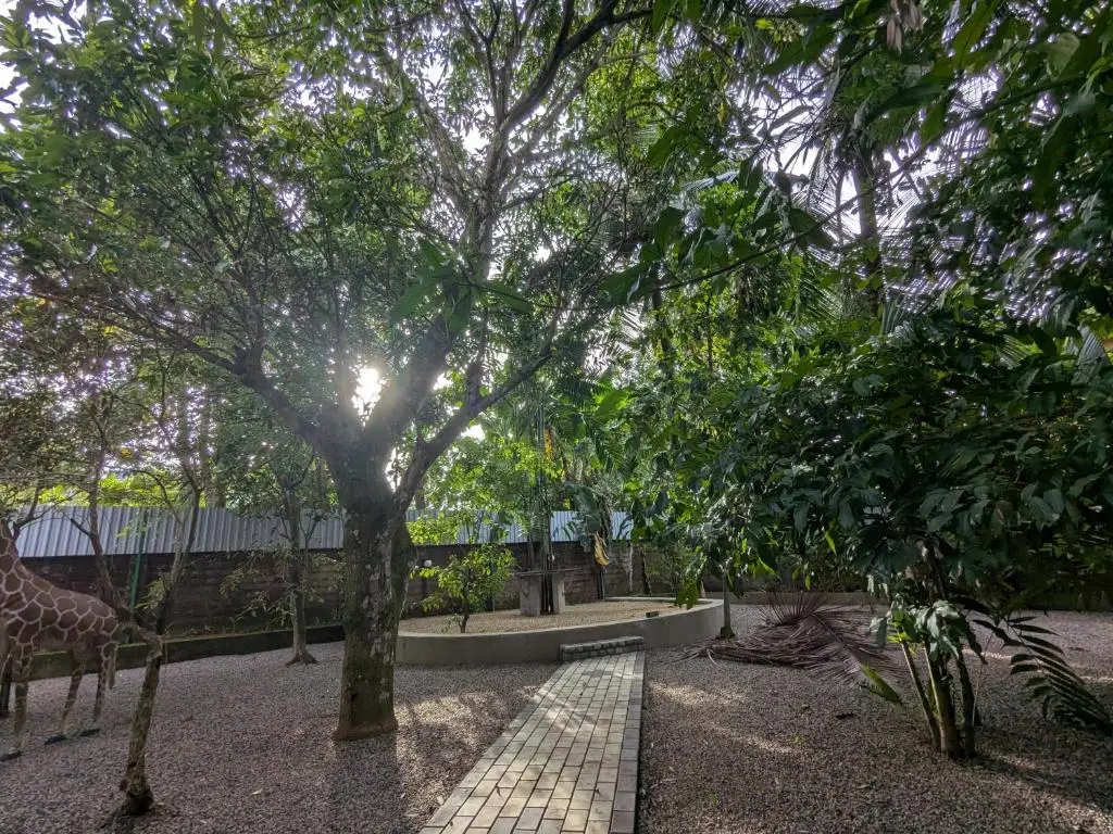 Spacious green backyard at Prince Cottage